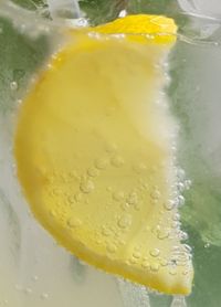 Zitrone im Wasser_nah